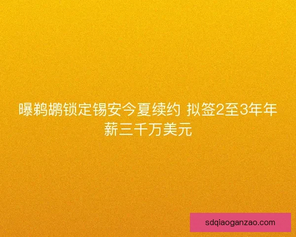 曝鹈鹕锁定锡安今夏续约 拟签2至3年年薪三千万美元