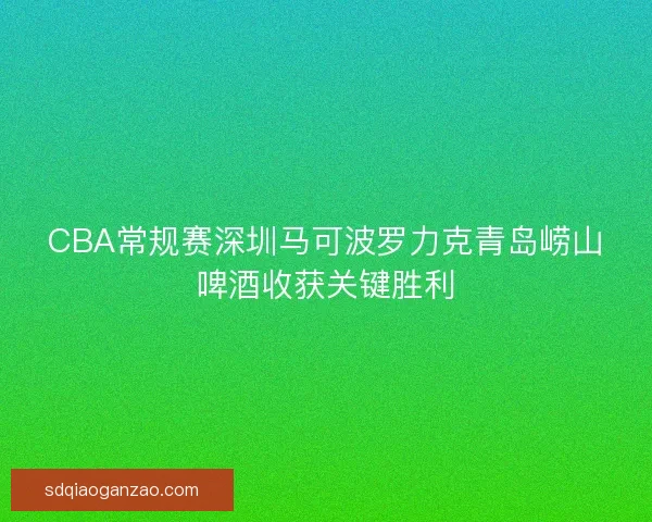 CBA常规赛深圳马可波罗力克青岛崂山啤酒收获关键胜利